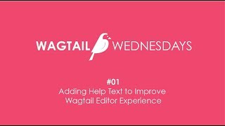 Wagtail Wednesdays 01  Adding Help Text to Improve Wagtail Editor Experience  VIX Digital [upl. by Nylhtac]