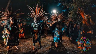 Mexican Folk Dance Aztec dance  Representación de Danza prehispánica azteca en Día de Muertos  4K [upl. by Gabrila]