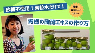 素粒水だけで作る醗酵エキスの作り方（青梅）2024年6月6日撮影（2分間バージョン） [upl. by Savior]