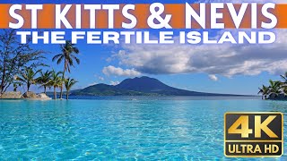 St Kitts amp Nevis TRAVEL GUIDE 2024 4K [upl. by Crispin]