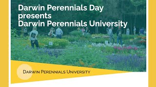 Darwin Perennials University 2021  Enroll Today [upl. by Ynaffet]