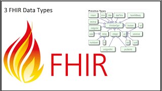 3 FHIR Data Types  Primitive  Primitive [upl. by Alekehs]