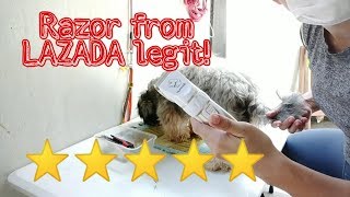 How I groom my dog  Praisen Beauty [upl. by Haliled]