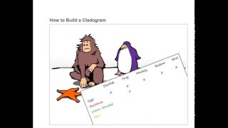 How to build a Cladogram 148 [upl. by Chrysler]