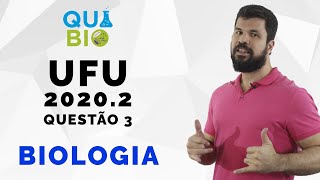 UFU 20202  Questão 3  Considere o segmento da cadeia de aminoácidos da proteína de uma espécie de [upl. by Damek65]