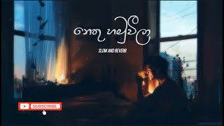 Nethu Hamuweela  Slow and Reverb  නෙතු හමුවීලා romeshsugathapala slowedandreverb sadstatus [upl. by Rehpinej]