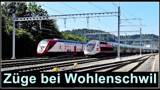 Wunderbare Zugsichtungen bei Wohlenschwil  Kanton Aargau  Schweiz 2024 [upl. by Neidhardt843]