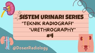 Teknik Radiografi Urethrography uretrografi radiology urinarysystem [upl. by Ferrand]