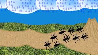 The Ants Go Marching A childrens counting song [upl. by Jacquenetta]