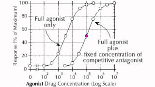 Dose Response Curve [upl. by Abott294]