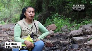 El Aguaragüe el pulmón de agua del chaco boliviano que agoniza [upl. by Lewendal]