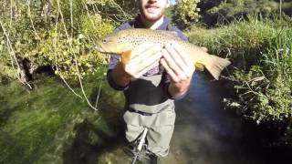 Brown trout fishing in France [upl. by Lirva506]