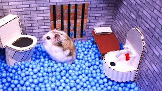 🐹Hamster escapes the awesome maze for Pets in real life 🐹 in Hamster stories Part 2 [upl. by Bail113]