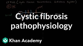 Cystic fibrosis pathophysiology  Respiratory system diseases  NCLEXRN  Khan Academy [upl. by Moulden260]