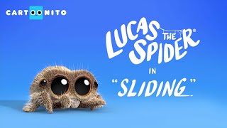 Lucas the Spider  Sliding  Short [upl. by Moule]