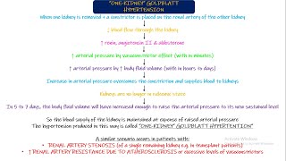 One Kidney Goldblatt Hypertension Two Kidney Goldblatt Hypertension Chapter 19 part 6 Guyton [upl. by Enilhtak373]