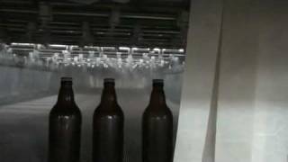 bodebrowncombr  tunel de pasteurizcao para cervejaria pasteurizar cervejas [upl. by Robinett954]