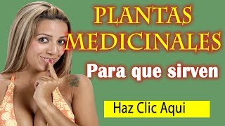 Plantas Medicinales y Para Que Sirven  Tipos y Beneficios de las Plantas Medicinales [upl. by Michaeu]