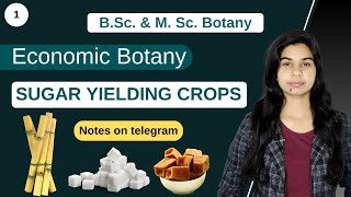 Economic Botany  SUGAR YIELDING CROPS  Botany  B Sc amp M Sc [upl. by Iolande]