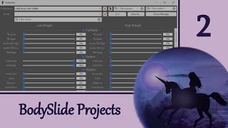 BodySlide 2 Projects [upl. by Enyamrahc744]