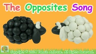 The Opposites Song  Antonyms  110 words  LEARN ENGLISH Vocabulary [upl. by Dreher]