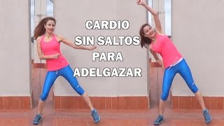 RUTINA CARDIO PARA ADELGAZAR Y TONIFICAR  BAJO IMPACTO SIN SALTOS [upl. by Natala426]