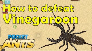 How to defeat Vinegaroon  Pocket Ants  Smart Daddy [upl. by Nomyt]