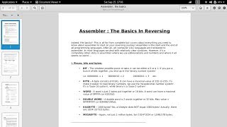 Assembler  The Basics in Reversing [upl. by Twum]