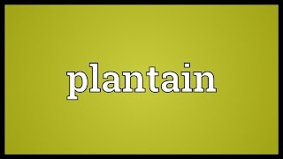 Plantain Meaning [upl. by Adnilahs515]