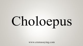 How To Say Choloepus [upl. by Philander]