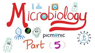 Microbiology  Bacillus anthracis Bacillus cereus Mycobacteria TB Leprosy  Picmonic  Part 5 [upl. by Carmelina]