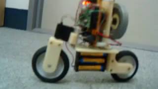 Self Balancing Bicycle Robot [upl. by Burd]