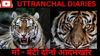 Chowgarh Tigers  Jim Corbett  Jim Corbett Stories [upl. by Golden702]