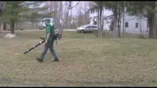 Dethatching Lawn Removing thatch after using dethatcher [upl. by Annayad]