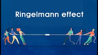 Short Story Ringelmann effect  The reason why social loafing occurs in the organization [upl. by Hyacinthia]