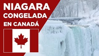 RARO fenómeno  Se CONGELAN las Cataratas del Niagara [upl. by Nnylekoorb]