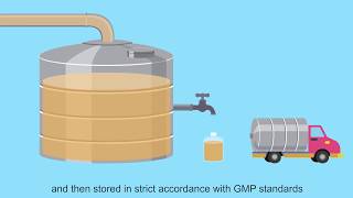 Production process of Angel bakers yeast [upl. by Iny]