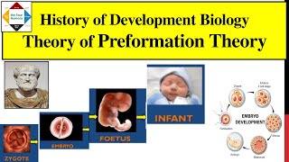 History of Embryology  Preformation Theory  Encasement Theory  Spermist Theory  Ovulist  Ovist [upl. by Ashleigh]