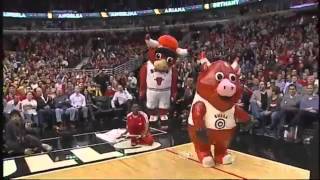 Chicago Bulls Luvabull Cheerleader Surprised With Marriage Proposal During BullsHeat Game [upl. by Tteirrah745]