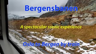 From Oslo to Bergen on Norways spectacular Bergensbanen [upl. by Ezana287]