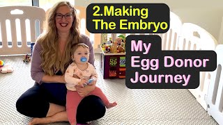 Fertilizing the Eggs amp Growing the Embryos ✨ PART 2 of My Egg Donor IVF Journey PRIVATE [upl. by Ruel856]