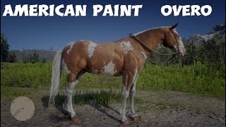 American paint Red dead Redemption 2 [upl. by Aloivaf]