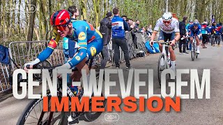 Gent Wevelgem • IMMERSION 2024 [upl. by Ahsas]