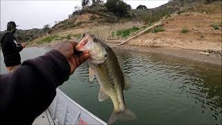 Cachuma Lake Fishing  Bass amp Crappie spawn [upl. by Trueblood]