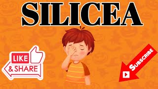 SILICEA HOMOEOPATHIC MEDICINEDRUG PICTURE [upl. by Lacsap]