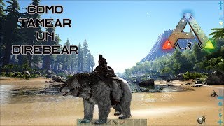 Como tamear un DirebearArctodus de manera fácil y rápida En Ark Survival Evolved [upl. by Sillyrama]