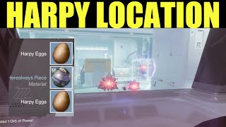 collect harpy eggs by defeating vex harpies Vex Harpy Location  Destiny 2 [upl. by Jerrilee]