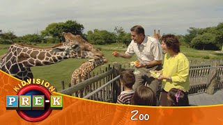 Zoo  Virtual Field Trip  KidVision PreK [upl. by Damalus]