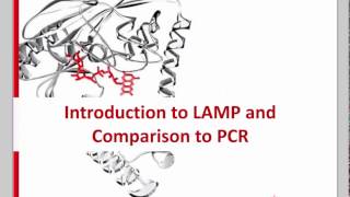 Chlamydia PID Reactive Arthritis 200 Highest Yield Topic Countdown USMLE Step 1 [upl. by Burbank]