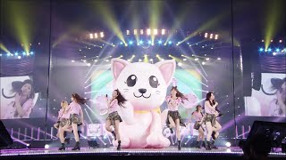 DVD Girls Generation 소녀시대  Do The Catwalk The Best live at TOKYO DOME [upl. by Notsej]